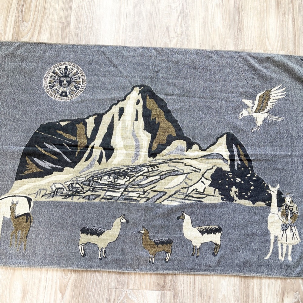Machu Picchu Alpaca Scene Paisley Boho Pashmina Shawl Fringe Scarf OS